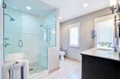Repair Chips, Cracks, or Loose Hinges of the Shower Door!